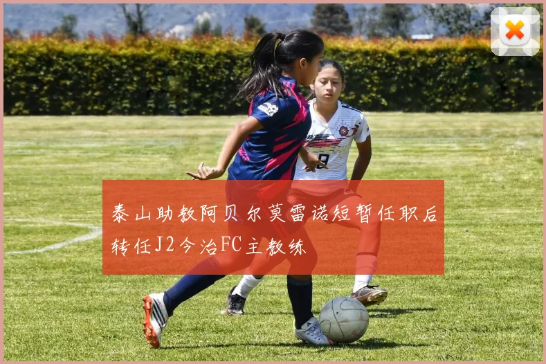 泰山助教阿贝尔莫雷诺短暂任职后转任J2今治FC主教练